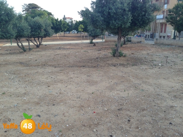 ard el sooq 714 (5).JPG